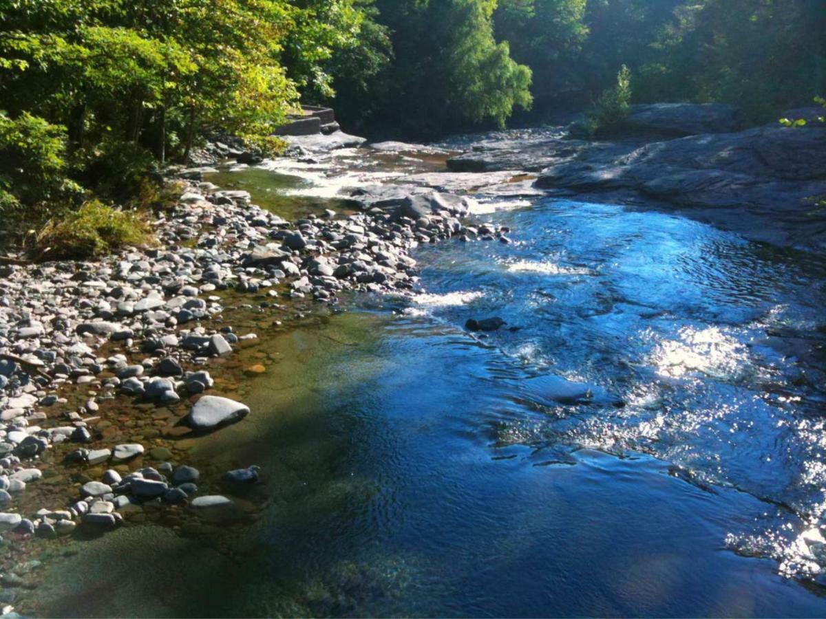Play All Day - Sleep By The Stream At Night - Swimming Hole Palenville Zewnętrze zdjęcie